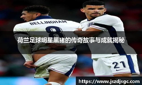 荷兰足球明星黑猪的传奇故事与成就揭秘